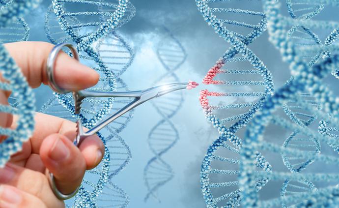我国科研人员发布新型基因编辑技术:编辑效率最高可达80%