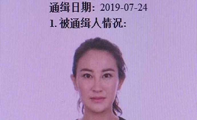 公安部a通逃犯寇静瑶在山西落网,涉参加黑社会性质组织等罪