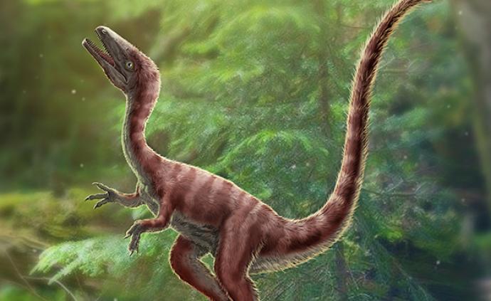 云阳发现新恐龙动物群